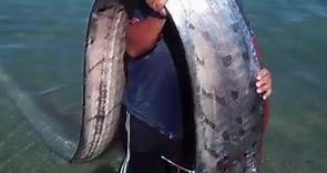 深海“地震魚”的奇怪傳說