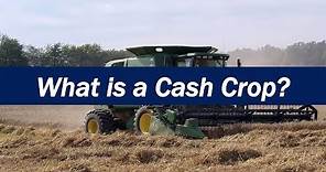 What is a Cash Crop?