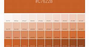 Pantone 16-1448 Tpx Burnt Orange Color | Hex color Code #C7622B  information | Hex | Rgb | Pantone