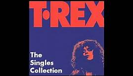 T. Rex The Singles Collection