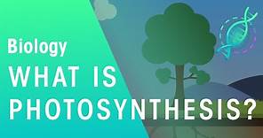 What Is Photosynthesis? | Biology | FuseSchool