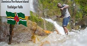 Amazing Twin Waterfall | Trafalgar Falls | Dominica The Nature Island