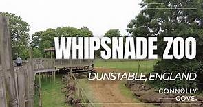 Whipsnade Zoo | ZSL Whipsnade Zoo | Dunstable | England | Things To Do In Dunstable