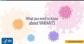 What You Need to Know About Variants