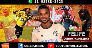 Felipe - Luiz Felipe Ventura dos Santos - Goleiro - www.golmaisgol.com.br
