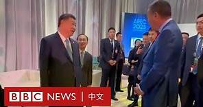 習近平與泰國總理聊起中國足球：「我不敢肯定他們的水平」－ BBC News 中文