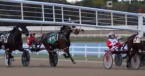 Purdue Harness Racing - A Family Business