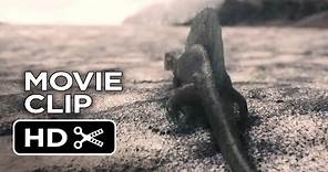 Noah Movie CLIP - Creation Sequence (2014) - Darren Aronofsky Movie HD