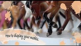 How to display your modelhorses | Teil 1