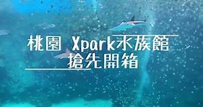 💧#現場直擊《Xpark水族館》搶先開箱💧