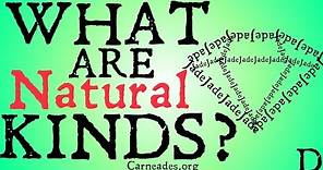 What are Natural Kinds? (Philosophical Definition)
