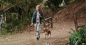 Shiloh (1996) Movie Trailer (Beagle dog)