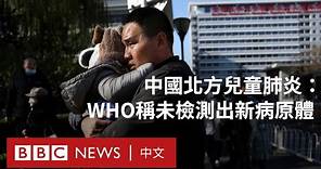 中國兒童肺炎感染潮：WHO稱未檢測出新病原體－ BBC News 中文