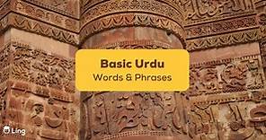 200  Basic Urdu Words And Phrases: An Easy Guide - Ling App