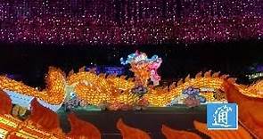 香港維園中秋彩燈會 五光十色燈火璀璨