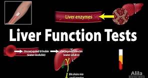 Liver Function Tests (LFTs), Animation