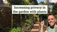 How to increase privacy in the garden with plants