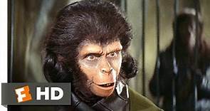 Planet of the Apes (2/5) Movie CLIP - Human See, Human Do (1968) HD