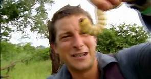Bear Grylls Top 5 craziest moments!! | It cant get any wilder! | Discovery Channel India