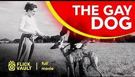 The Gay Dog | Full HD Movies For Free | Flick Vault