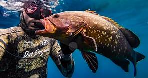 Hole hunting for grouper in Croatia 🇭🇷 | Northern Adriatic spearfishing.