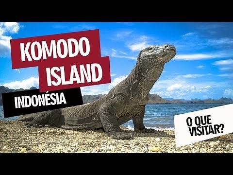 Komodo Island, Indonésia