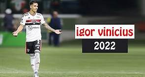 IGOR VINICIUS MELHORES MOMENTOS 2022