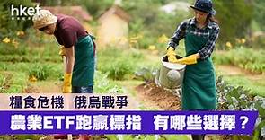 【糧食危機】農業ETF跑贏標指   有哪些好選擇？ - 香港經濟日報 - 理財 - 財富管理 - ETF