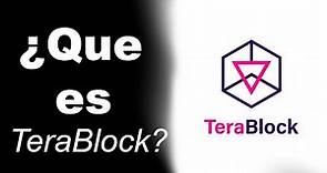 TeraBlock: ¿Qué es y Como funciona? (Reseña En Español)