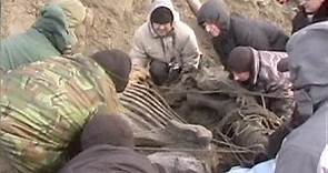 Mamut de 30.000 años desenterrado en Rusia