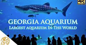 Georgia Aquarium Largest aquarium in the world Atlanta 4k Attractions