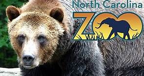 North Carolina Zoo Tour & Review with The Legend