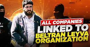 The Rise and Fall of the Beltran Leyva Cartel | All that were linked to organization