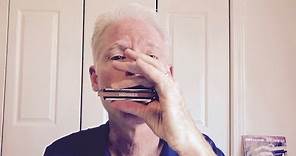 5 cool riffs for beginning blues harmonica players