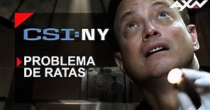 CSI NY 1x02: Una plaga de RATAS | AXN Latinoamérica