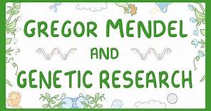 GCSE Biology - Gregor Mendel and the History of Genetics #76