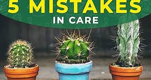 5 COMMON MISTAKES IN CACTUS CARE
