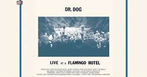 Dr. Dog - "The Truth" (Full Album Stream)