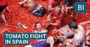 Hundreds Of Tons Of Tomatoes Are Used As Ammo In Spain's Tomatina Festival
