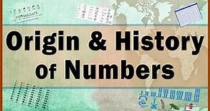 History of Numbers | Origins of Numbers | Math | LetsTute
