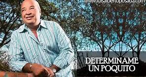 Luis Alberto Posada - Determiname Un Poquito (Audio Oficial)