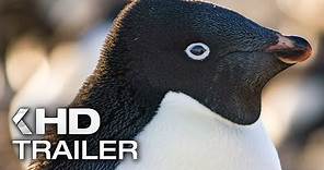 PENGUINS Trailer (2019)