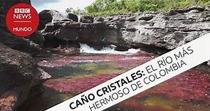 Caño Cristales, el río más hermoso de toda Colombia