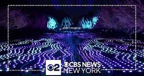 Brooklyn Botanic Garden's Lightscape holiday show returns for 2023 season