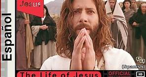 La vida de Jesús | Español | Life of Jesus (Gospel of John) Official Spanish Full HD Movie (HD)