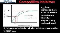 B.7 Competitive and non-competitive inhibitors (HL)