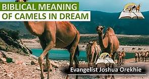 Biblical Meaning of CAMELS in Dream - Camel Dream Interpretation
