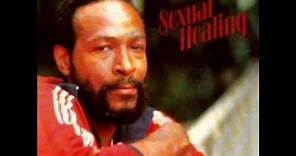 Marvin Gaye - Sexual Healing ( Extended Version ) 1982