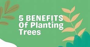 5 BENEFITS Of Planting Trees