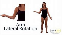 Arm Medial and Lateral Rotation
